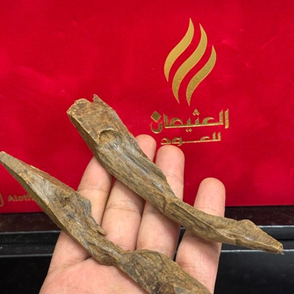 عود مروكي Limited⚜️