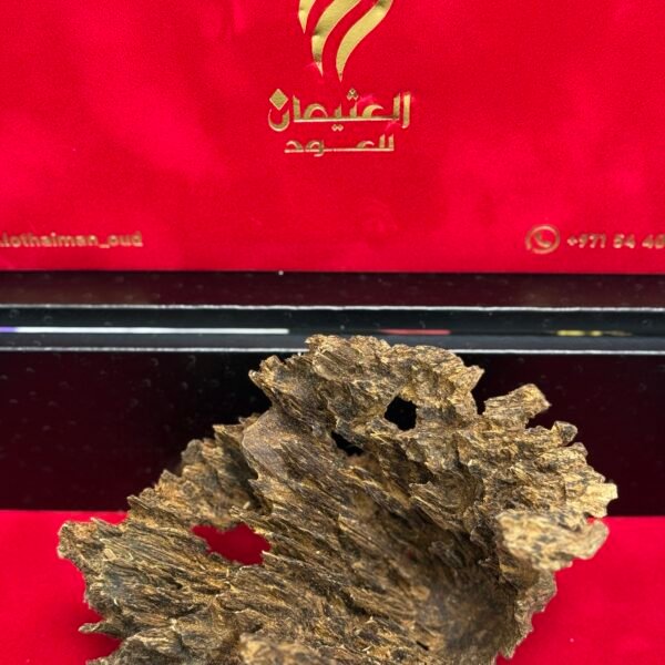 ماليزي الخزينة ⚜️